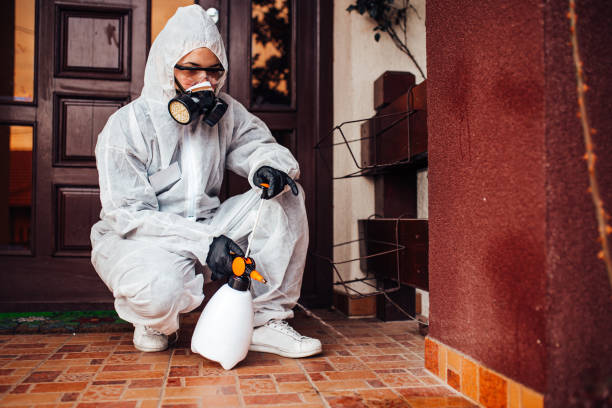 Reliable Wasp Removal contractor in Mount Airy, NC by Show Me Pest Control